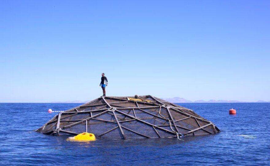M. Sanjayan on top of Aqua Pod.