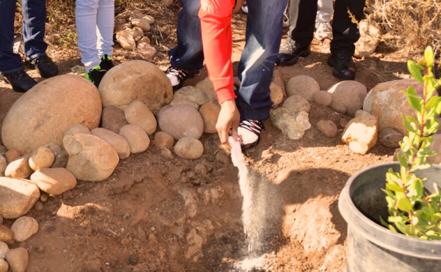 Ricky McCoy Jr. spreads his son's ashes in the planting bed for the memorial tree.