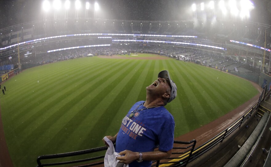 An unnamed Chicago Cubs fan catches raindrops in his mouth after the Cubs finally won the World Series on Wednesday. His shirt says, "Just one before I die."