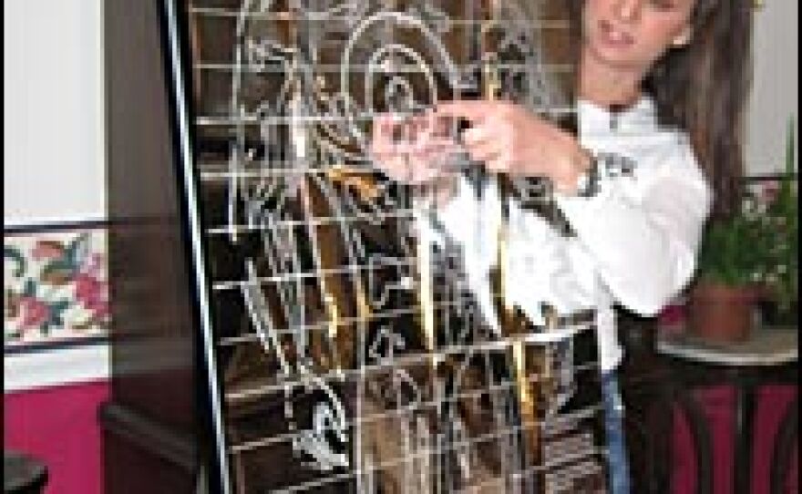 Dana Shafman uses an aluminum target to show attendees of a Taser house party in Fairfield, Conn., where to aim the weapon. Shafman is an independent Taser dealer.