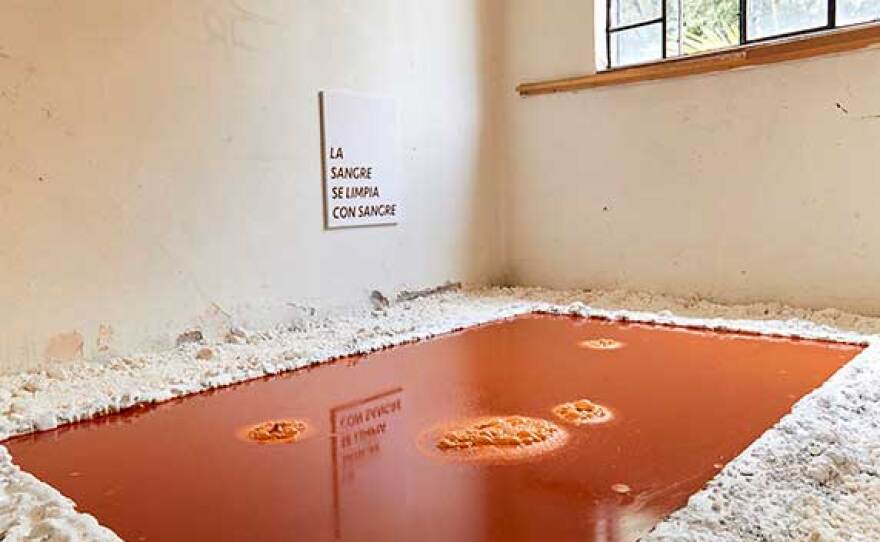 Cristóbal Gracia's "A Money Laundering Pond..." as installed in Mexico City in an undated photo.