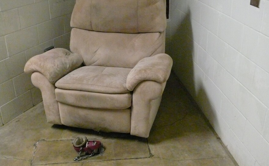 The Camp 5 TV room includes a comfortable chair, with padded leg restraints, where a compliant detainee could watch multiple channels and DVDs.