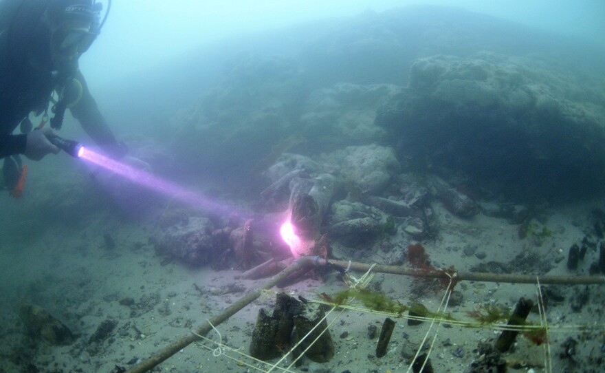Divers recover items from Bouldnor Cliff, a submerged, prehistoric settlement site off the coast of the Isle of Wight, U.K. Along with lunchtime paraphernalia, divers also found ancient DNA from cultivated wheat.