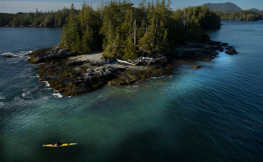 M. Sanjayan explores the Great Bear Rainforest on kayak.