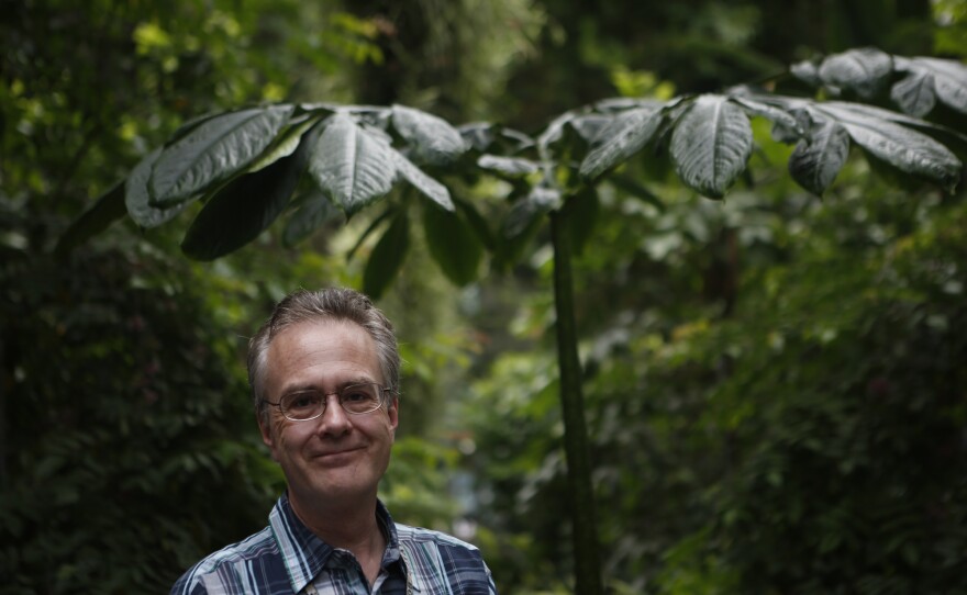 Kyle Wallach, a botanist with the U.S. Botanic Garden, stands by a non-blooming corpse flower.