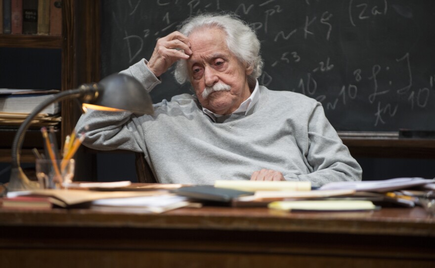 In Northlight Theatre's production of <em>Relativity, </em>Nussbaum portrays theoretical physicist Albert Einstein.