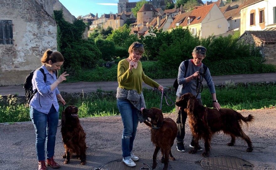 Vlada, Yuri Mazurenko and Macha Levitin are on a walk with their dogs Iris, Rolly and Safra.