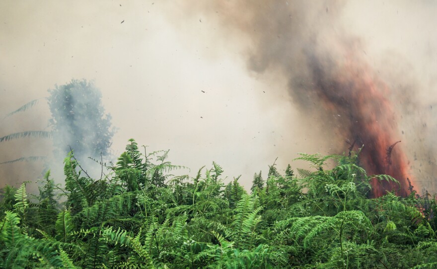 Smoke and flames rise from a peat fire in West Kalimantan Province. Peat fires and deforestation contribute to Indonesia's status as a leading carbon emitter.