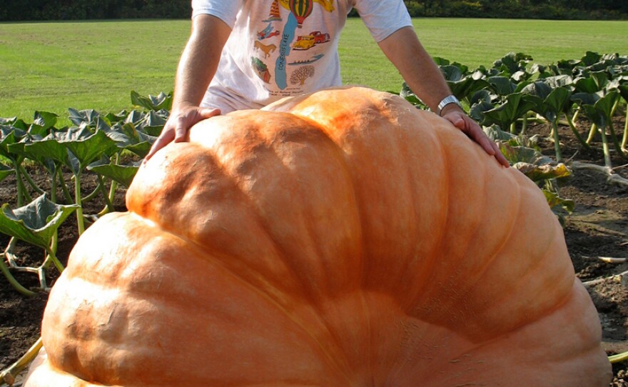 Competitor Joe Pukos with his giant pumpkin.
