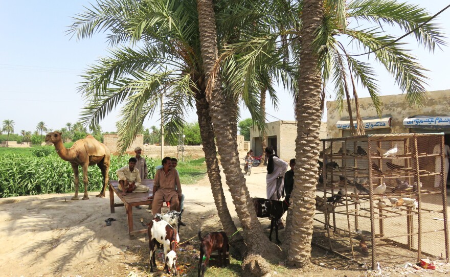 Men shelter from the heat in a village in south Punjab, Pakistan's most populous province.