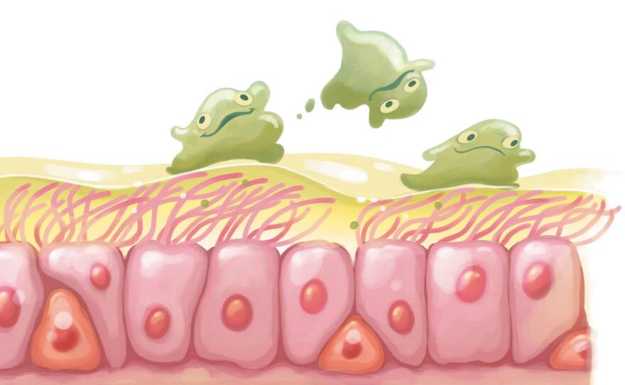 Where are we? In the sinuses, with some dancing green mucus.