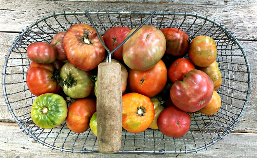 Tomato basket
