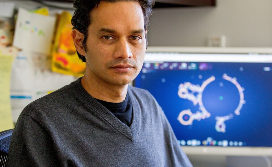 Rhiju Das, a computational biochemist at the Stanford University School of Medicine, helped create the EteRNA online game. It challenges people to design new RNA molecules.