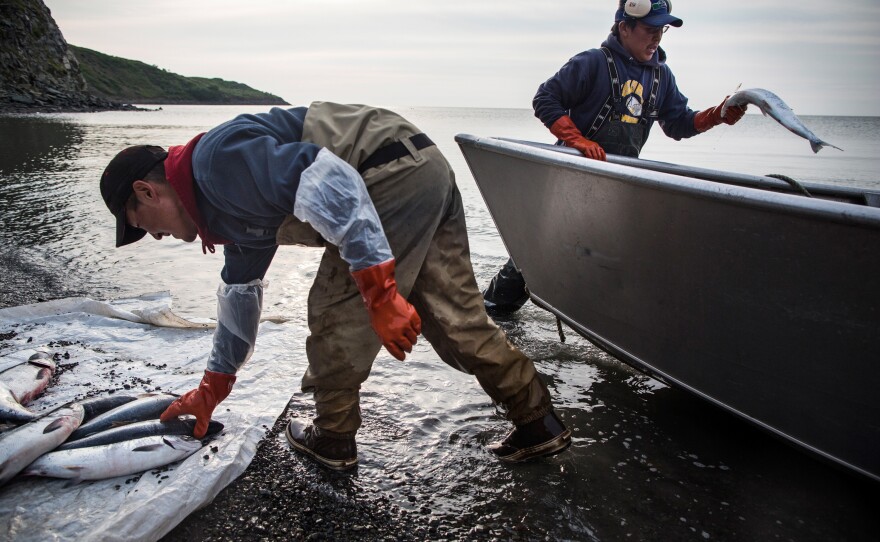 Joseph John Jr. washes freshly caught salmon with his son, Jeremiah John, while waiting for the tide to come in on July 1, 2015 in Newtok, Alaska. Families in the village of roughly 400 people depend on hunting and fishing.