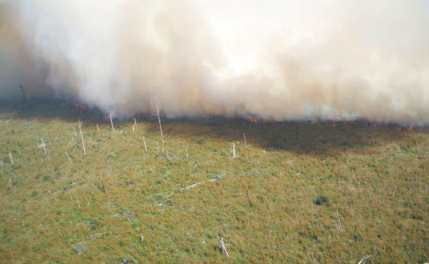 A lightning strike caused a wildfire that consumed more than 6,500 acres in the Great Dismal Swamp National Wildlife Refuge in August 2011. Swamp fires like this often burn for months because of the dry peat soil.
