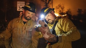 Private firefighter Bradcus Schrandt, right, holds an injured kitten while Joe Catterson assists, at the Zogg Fire near Ono, Calif., on Sunday, Sep. 27, 2020.