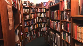 Farenheit 451 Books