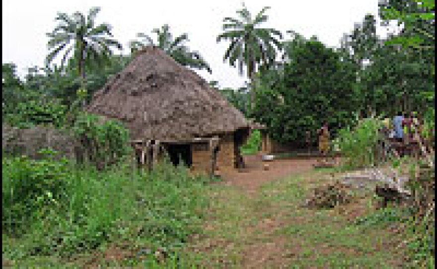 A path leading to the village of Oferekpe in southeastern Nigeria.