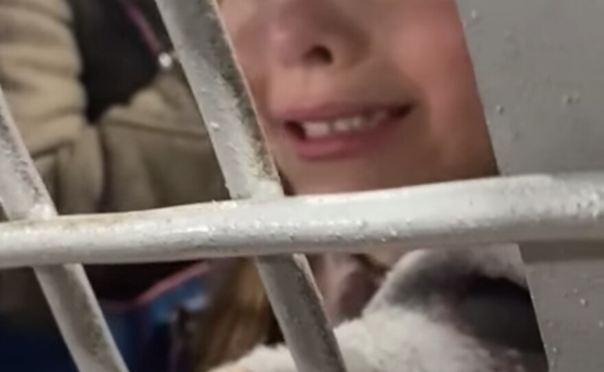 A video posted to Facebook and other social media sites by Alexandra Arkhipova shows a young girl weeping as she is held in a cell. The girl, her mother and other children were arrested as they tried to bring flowers to the Ukrainian embassy in Moscow, Arkhipova said.