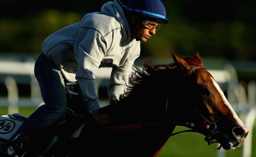 Even if California Chrome wins Saturday's Belmont Stakes, most Americans are too disconnected from horses to flock to the race track, says commentator Frank Deford.
