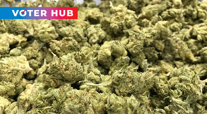 A pile of dried cannabis buds is seen here, Aug. 31, 2017.