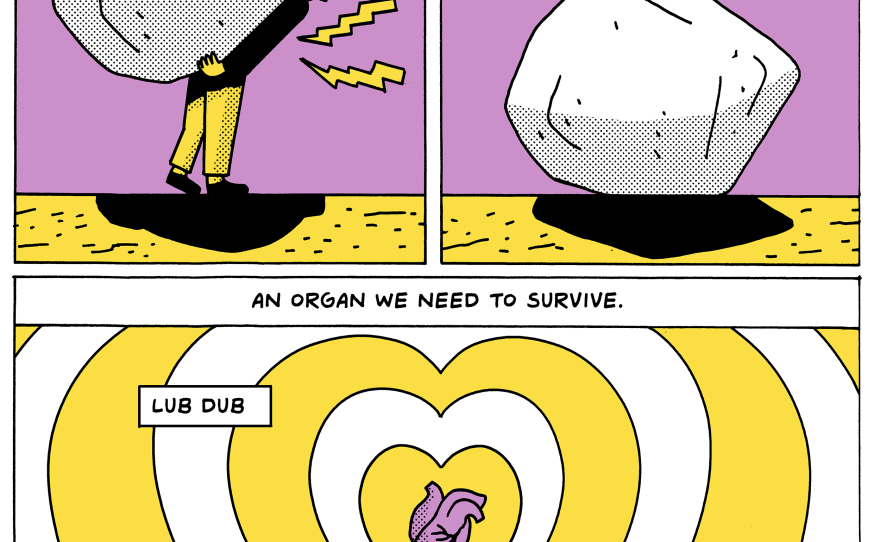 Love the organ we need for survival