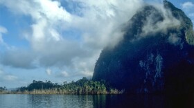 By damming the Khlong Saeng river, the government of Thailand created an archipelago of tiny forests where mammals died off faster than scientists predicted. 