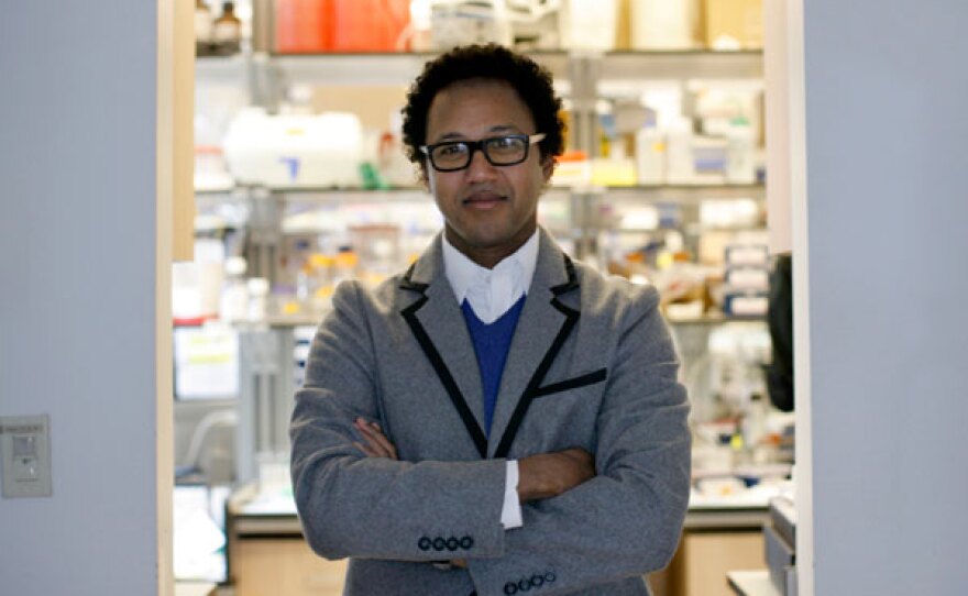 Andrè Fenton is a recognized neuroscientist, biomedical engineer and entrepreneur working on three related problems: how brains store information in memory; how brains coordinate knowledge to selectively activate relevant information and suppress irrelevant information; and how to record electrical activity from brain cells in freely-moving subjects. He is photographed in a lab at the Center for Neural Science at New York University.