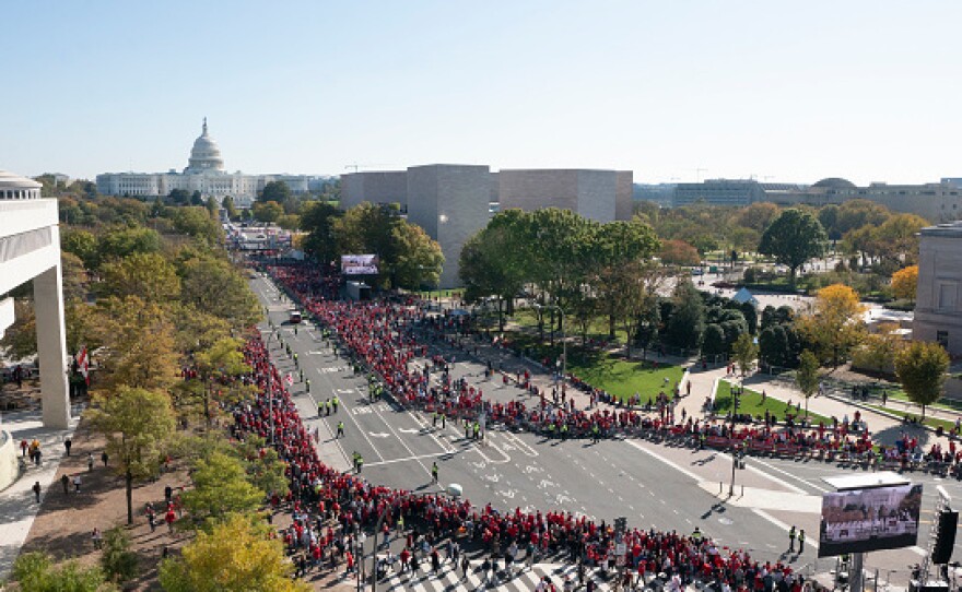Fans gather in Washington, D.C. on Nov. 2, 2019 as the Washington Nationals hold a parade to celebrate their World Series victory over the Houston Astros.