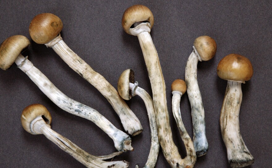 The director of the Denver campaign told NPR that the results from the vote shows that society's perception of psychedelics has changed.