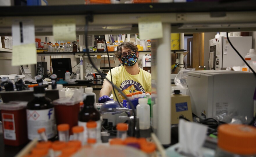 CSU lab technician August Luc processes wastewater samples for the school. Some colleges outsource this step, but CSU has the space and lab machines to run the analysis in-house.