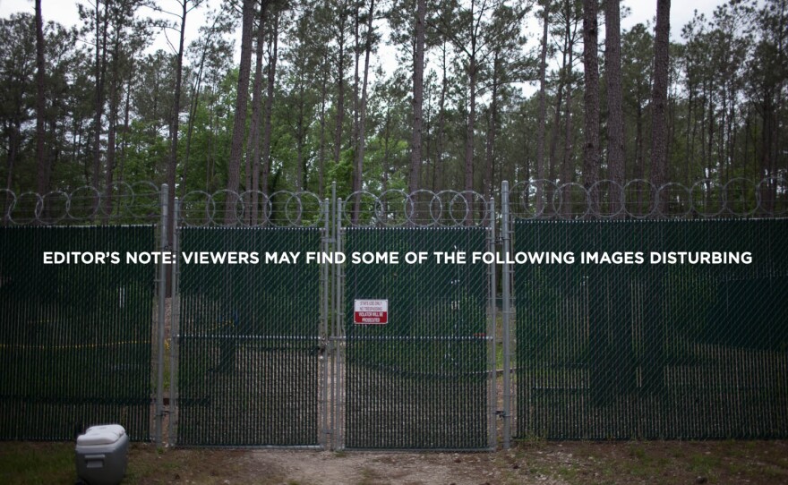 Researchers at the Southeast Texas Applied Forensic Science Facility have found that the mix of microbes on human remains change over time in a distinct pattern.