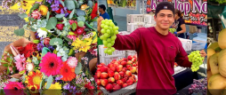 Little Italy Mercato