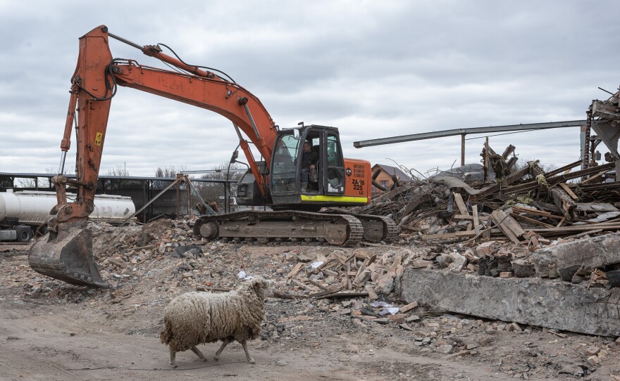 <strong>April 19:</strong> A sheep walks past an excavator clearing rubble at a bread factory that was bombed in Russia's invasion of Makariv, west of Kyiv. At least 13 people were reported killed in the bombing.