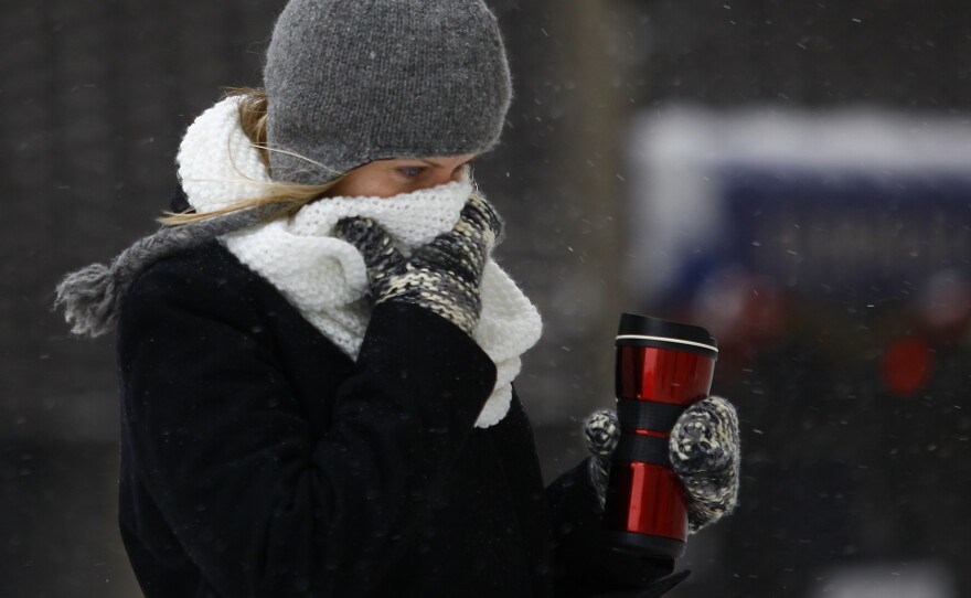 Dealing with it in Detroit: A woman protects her face from the cold on Monday.