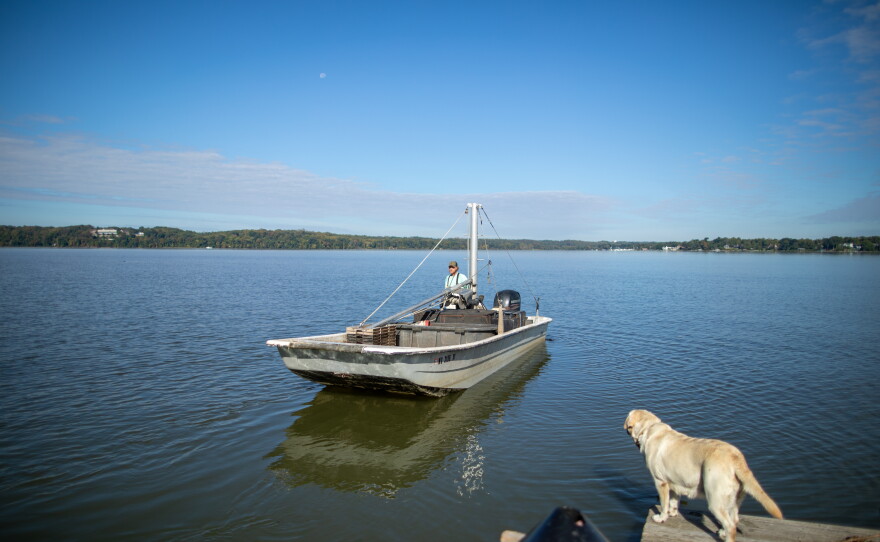 Rocky Rice likes to average at least 1,200 pounds of blue catfish on each outing on the lower Potomac River. The invasive fish is now his primary target.