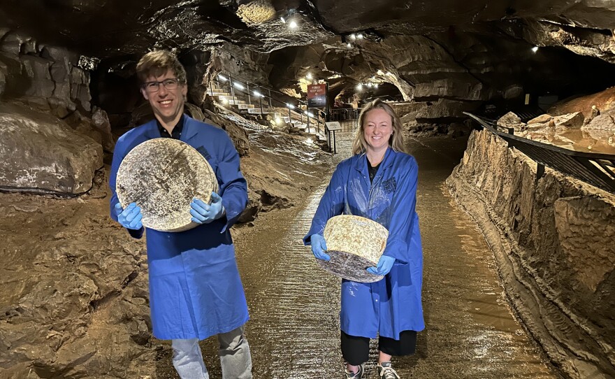 Luke Shepherd and Emma Hill bring cheese into caves in Cheddar, England, for maturing.