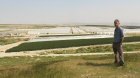 Israeli Inon Rosenblum raises herbs for export on Moshav Na'ama, an agriculture settlement in the Jordan Valley. Israel says control of this part of the West Bank is crucial for its security. Rosenblum receives scarce water, which is controlled by Israel, and employs Palestinians for field and packing work.