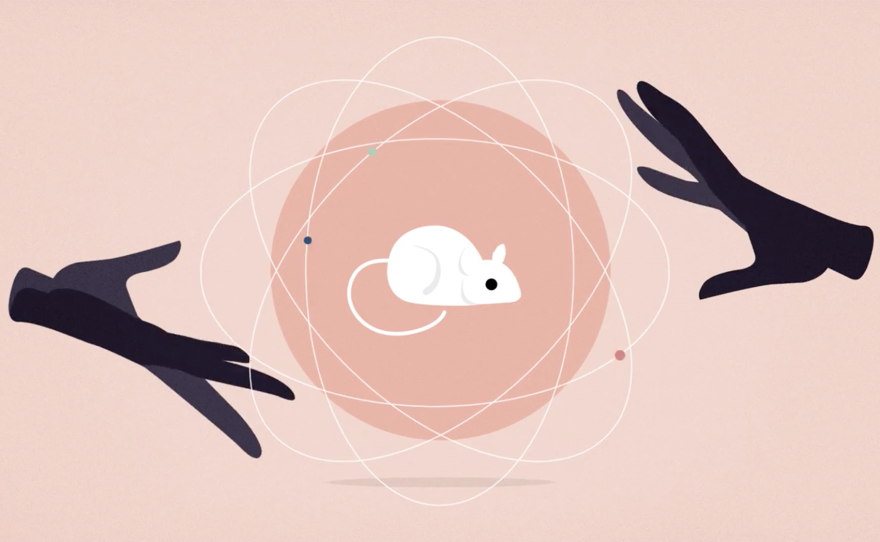 WATCH: Can You Affect Another Person's Behavior With Your Thoughts?