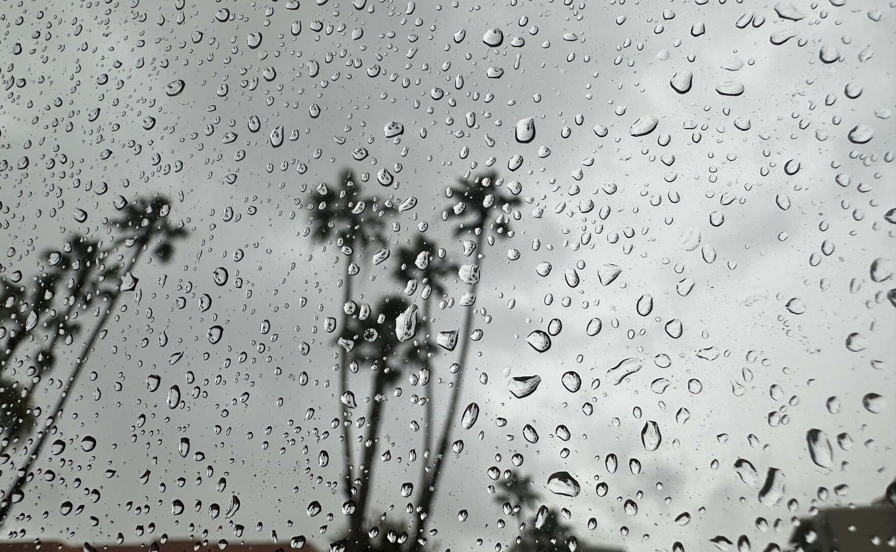 Light showers, winds expected in San Diego County this week | KPBS ...