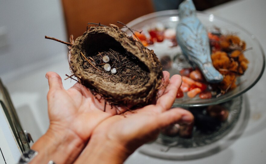 Lori Guadagno holds the bird's nest. Once she found that nest, "some little part of my heart started cracking a bit," she says.