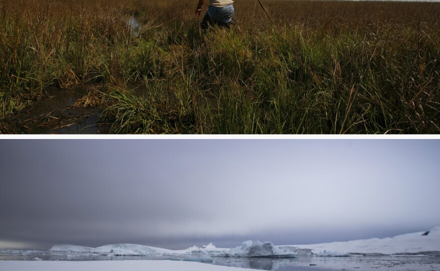 (Top image) Maurice Phillips walks through marsh grass near his home in Grand Bayou, southeast of New Orleans, in March 2006. The village is only accessible by boat and is increasingly vulnerable to storm surge because of the loss of the surrounding wetlands. (Bottom image) Adelie penguins walk on sea ice near the Fish Islands in the Antarctic Peninsula in February 2022.