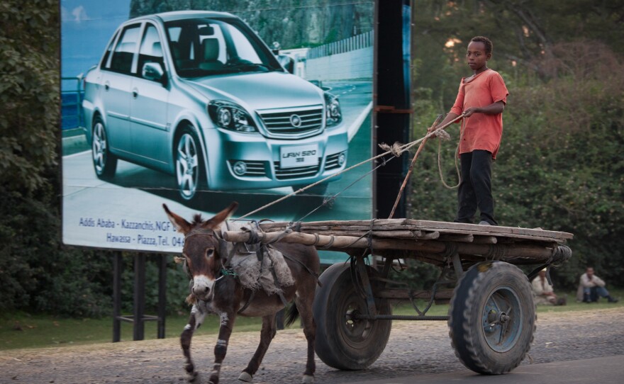 Ethiopians depend on donkeys to transport water, wood for cooking, food and other goods, as well as people.