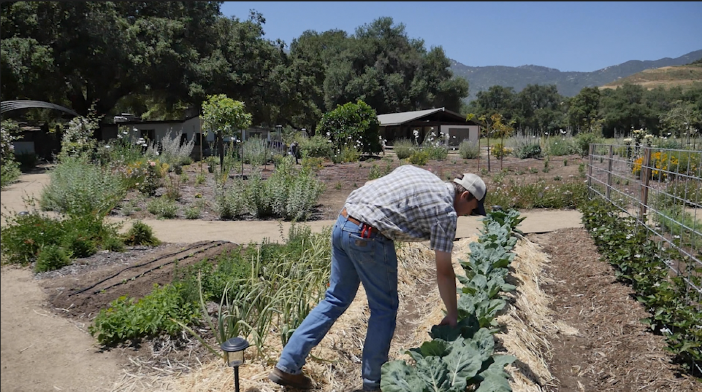 Biodynamic and organic farming consultant Andrew Beedy tends to the garden at Wellburn Gourd Farm in Fallbrook on May 16, 2025.