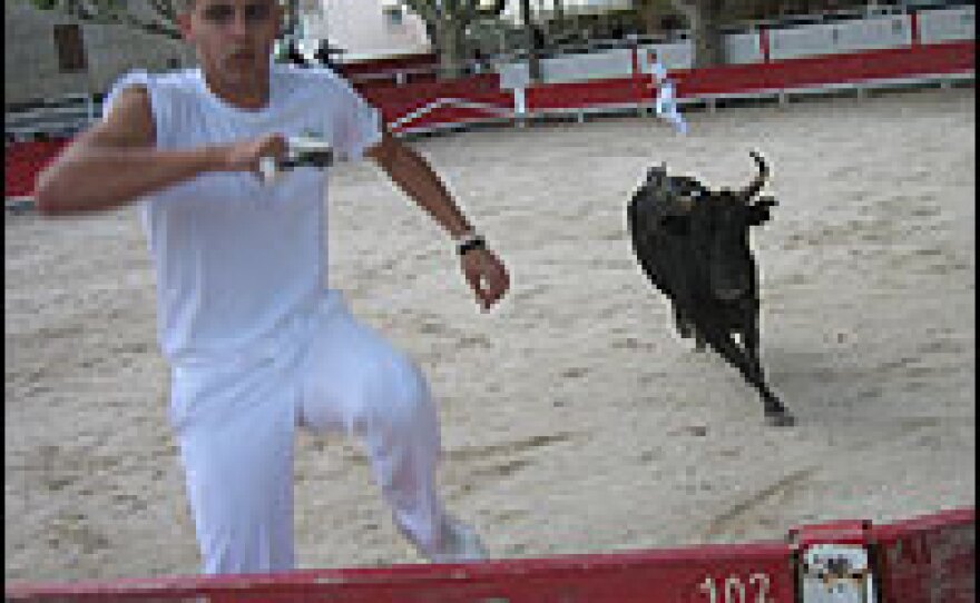 A young bullfighter scrambles to avoid the horns of his opponent.