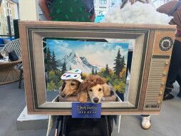 Howl-O-Ween Yappy Hour