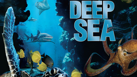 Throwback Thursdays: 'Deep Sea'