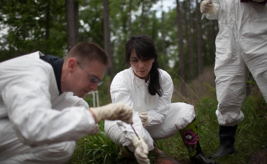 Researchers Sibyl Bucheli (center) and Rob Knight (left) take soil samples from beneath a decomposing body in 2013.