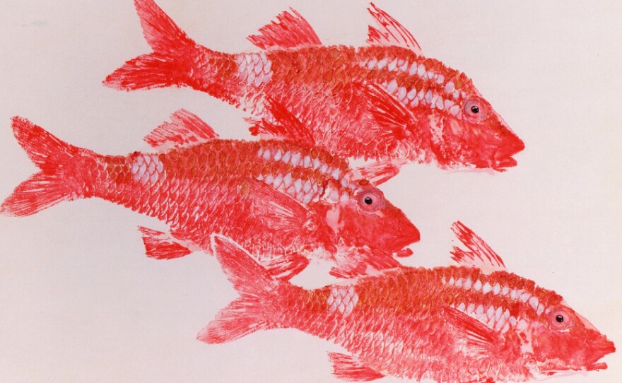 Kumu (sp. Parupeneus porphyreus). The Whitesaddle Goatfish has a special place in Hawaiian culture. In ancient Hawaii, the fish were used in offerings to the gods.