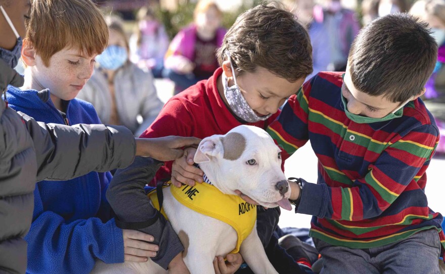 Students meet Snow, the pitbull.